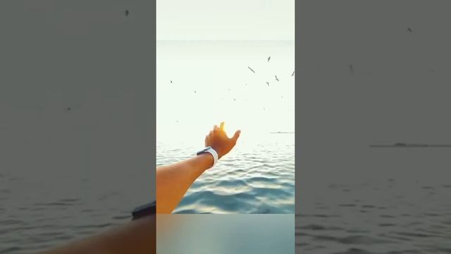 Медитация Исцеления связей с любовью❤ смотреть онлайн