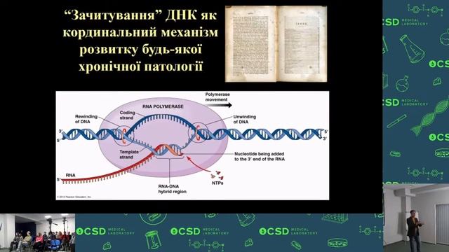 Пухлина як типовий патологічний процес,загальні механізми канцерогенезу 2 частина смотреть онлайн