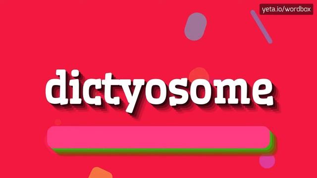 DICTYOSOME - HOW TO PRONOUNCE IT!? смотреть онлайн