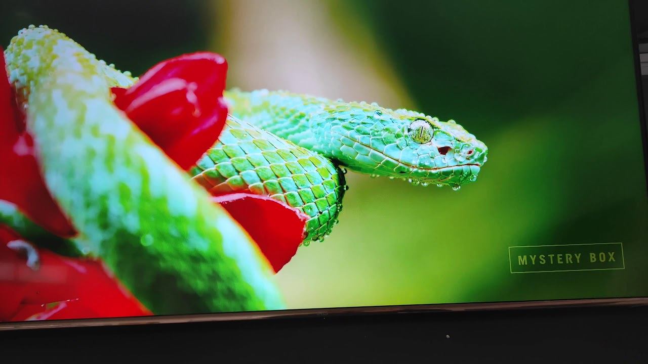 vidéo 4k HDR .iris 55 G3A. смотреть онлайн