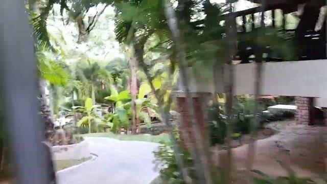 Koh samui new star beach hotel 2 смотреть онлайн