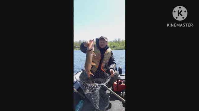 Волхов мост -Кириши 2023