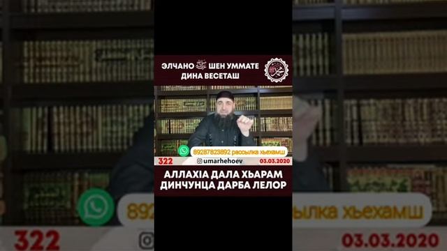 Аллах хьарам динчунц дарб ца лелор смотреть онлайн