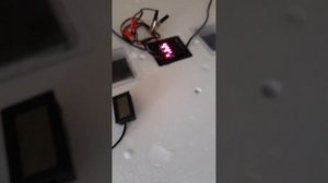 Инкубатор несушка 100 яиц. СОВМЕСТНАЯ ИНКУБАЦИЯ КУРИНЫХ И ПЕРЕПЕЛЕНЫХ ЯИЦ!!!