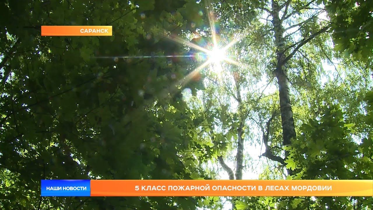 5 класс пожарной опасности в лесах Мордовии