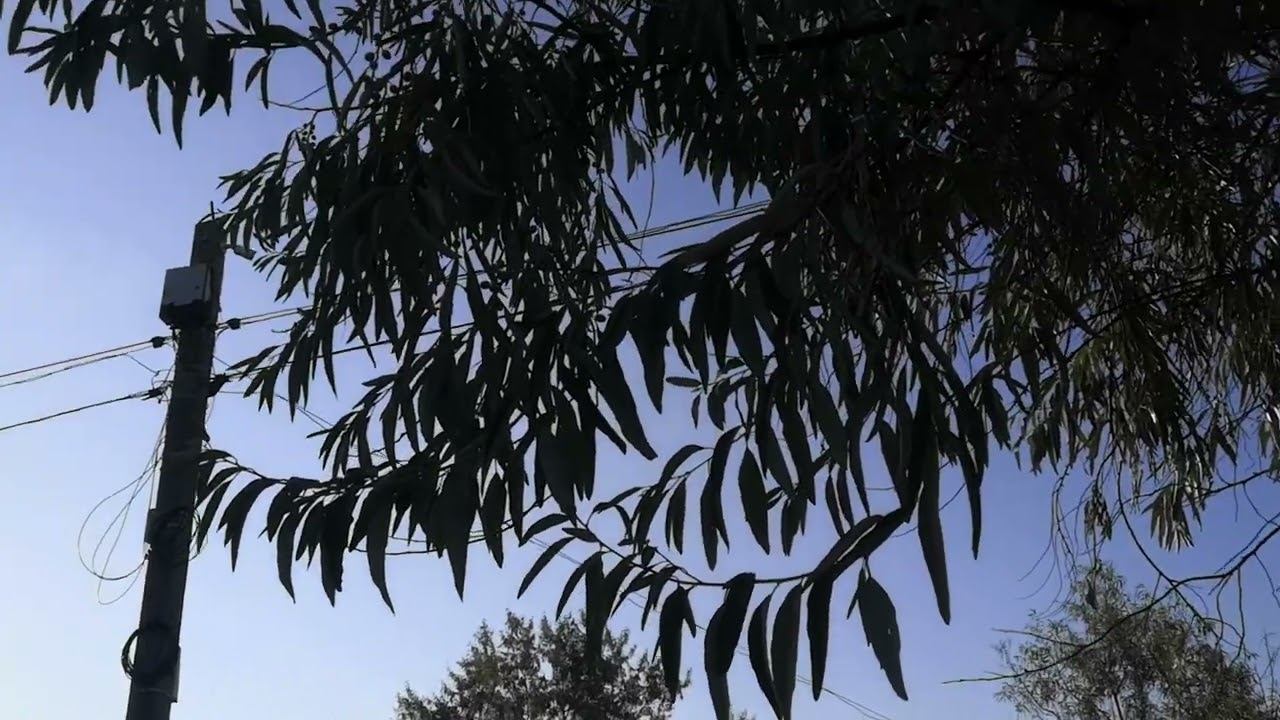 Возле пляжа Супер Аква, в Заозерном смотреть онлайн