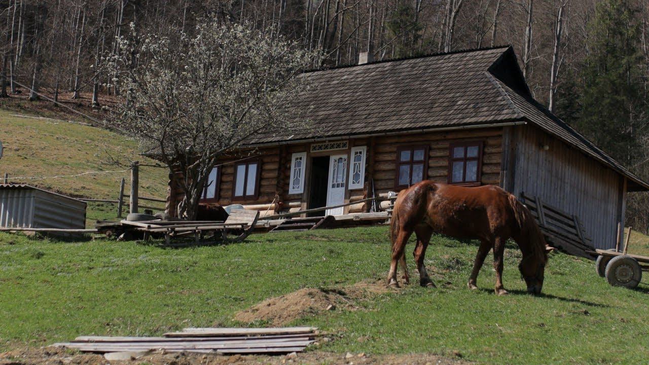 Happy Life In A Mountain Village Far From Civilization In Springtime