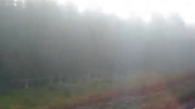 Поезд "Сапсан" - Вид из окна смотреть онлайн