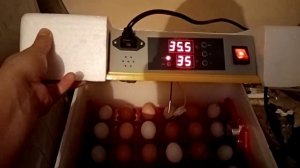 Вывод цыплят в китайском инкубатор, И-24!