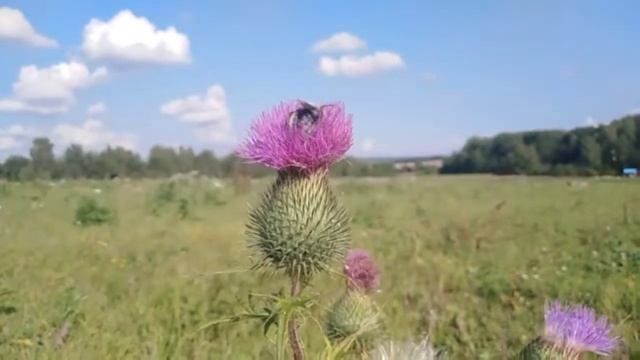 Знакомство, или как мы решились на переезд смотреть онлайн