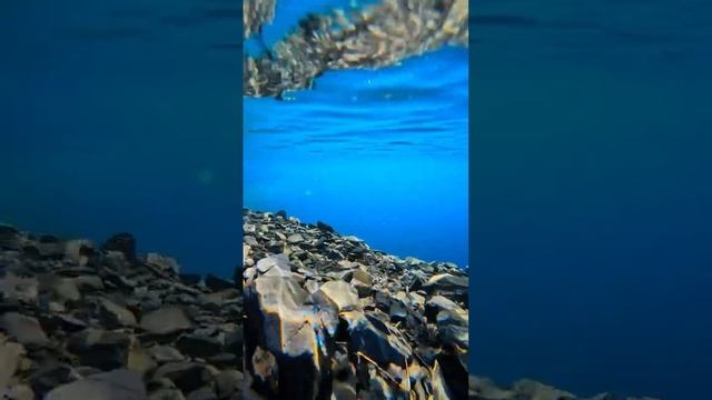 Кристально чистая вода Аляски 🥰 смотреть онлайн