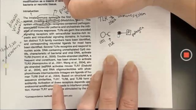 Talking to the Text - Example with Primary Scientific Literature смотреть онлайн