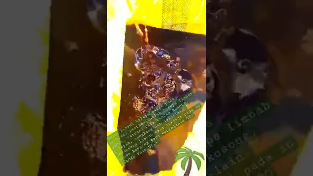 🇲🇨liquid waste occurs in in-house keeping in🌴 CPO (Crude Palm Oil)processing.#indonesia #sawit#miko смотреть онлайн