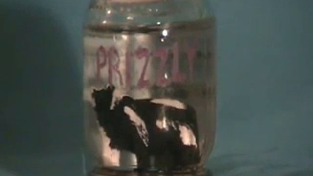 Climate Change Snow Globe: A collectible смотреть онлайн