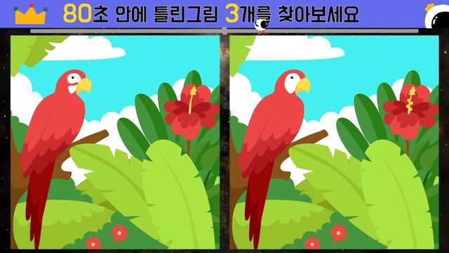 【틀린그림찾기】 75탄! 앵무새,왕부리새!【귀여운 그림과 함께】 смотреть онлайн