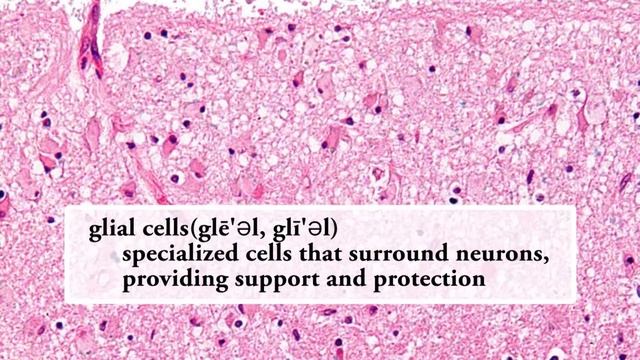 Gong Chen research - Epilepsy смотреть онлайн
