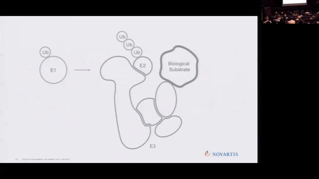 James Bradner, MD President, Novartis Institutes for BioMedical Research смотреть онлайн