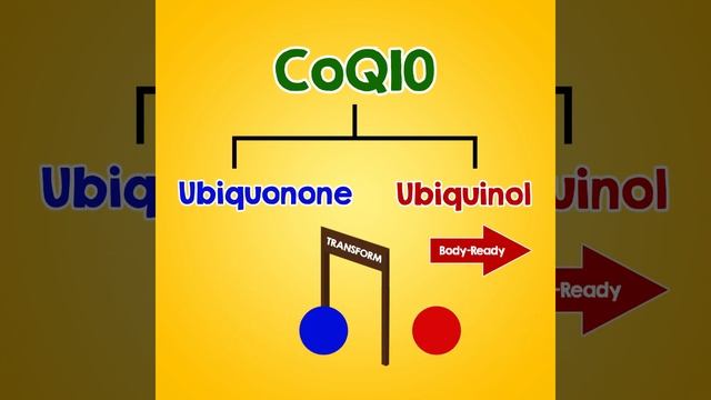CardioREGAIN - Power Up Your Heart & Energy with Ubiquinol CoQ10 смотреть онлайн
