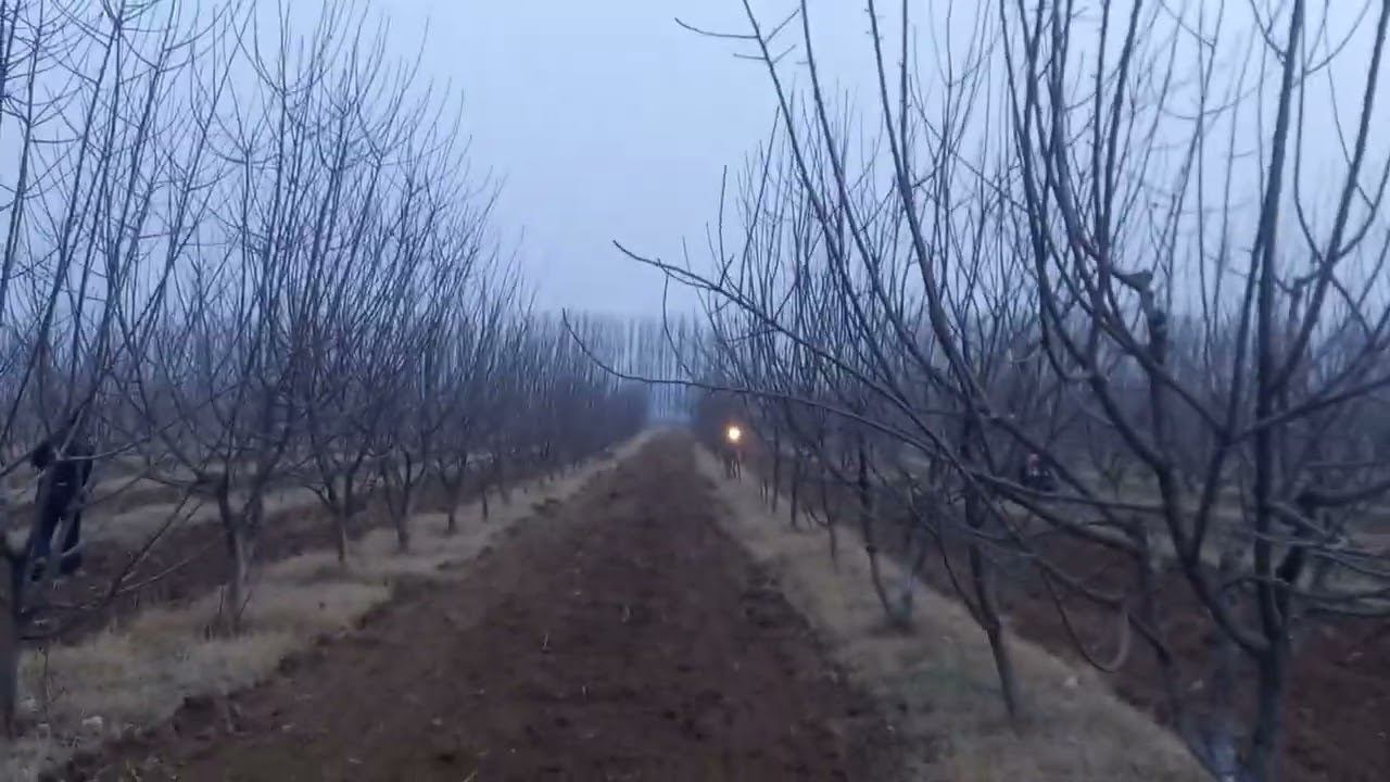 Беда экиш жараёни смотреть онлайн