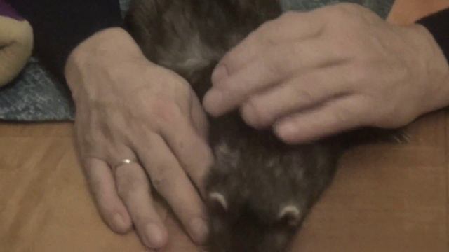Песня про папу смотреть онлайн