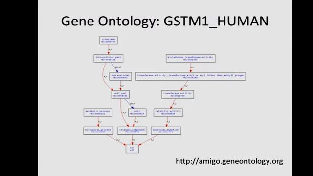 CCG 2015 Mackey DEGsAnd Pathway Enrichment смотреть онлайн