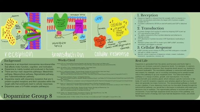 Dopamine AP Bio смотреть онлайн