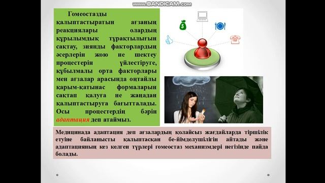 "Генетикалық гомеостаз" смотреть онлайн