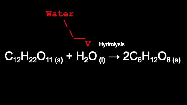 Sucrose Sucrase Enzyme Video Project смотреть онлайн