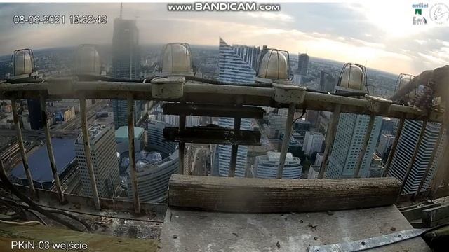 PKiN Wa-wa Pl - Lotna exercises at gallery. Mikron has dinner in gutter - 2021 06 08 19 14 смотреть онлайн