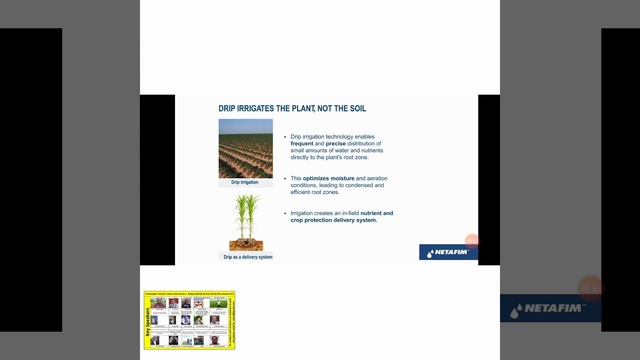 Sustainable Turmeric Value Chain Series 1 смотреть онлайн
