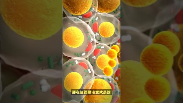 降膽固醇對比EDTA排毒搶救截肢 смотреть онлайн