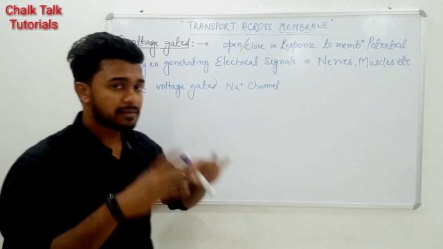Membrane transport channels, ion channels, chalk talk tutorials, Farman khan смотреть онлайн