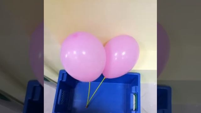 Открытие Diskont Place г. Павлоград смотреть онлайн