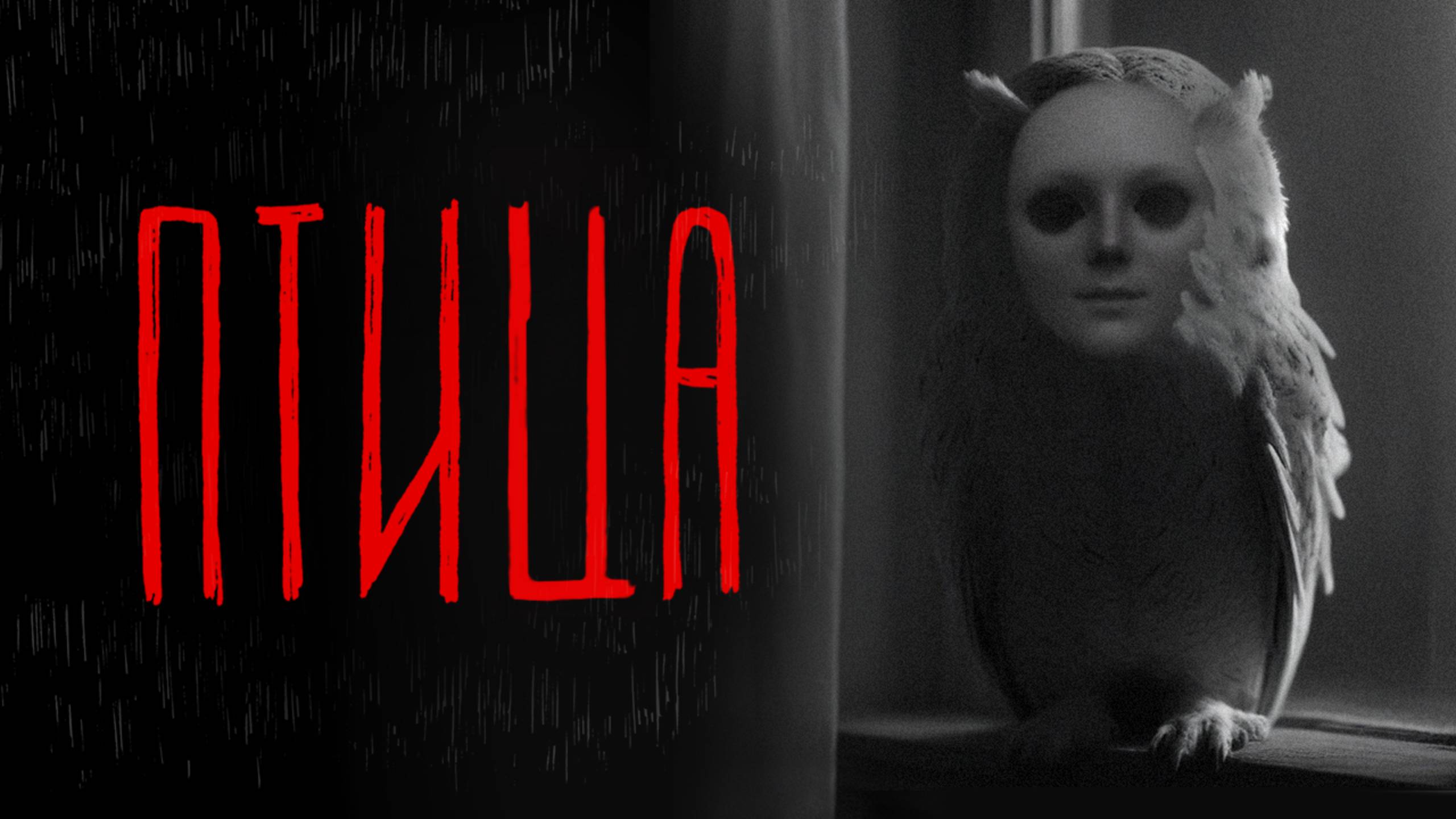 ПТИЦА | Тени Города