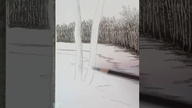 How to draw a pencil drawing of birch trees landscape in ice place? смотреть онлайн