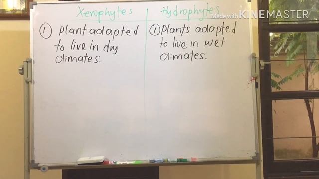 VARIATION: XEROPHYTES & HYDROPHYTES PART 1( IGCSE) смотреть онлайн