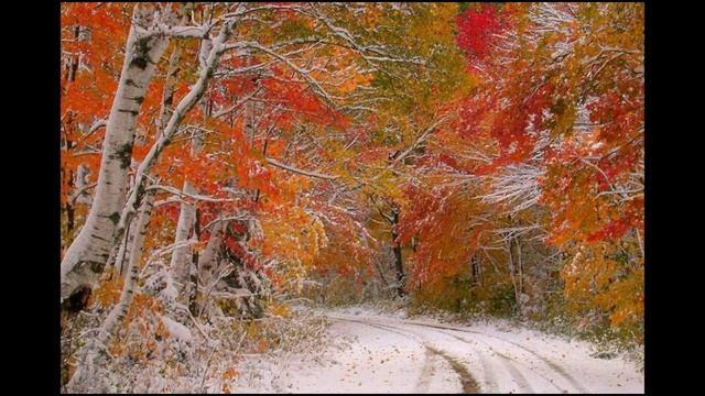 Цветная осень-вечер года. Самуил Маршак. смотреть онлайн