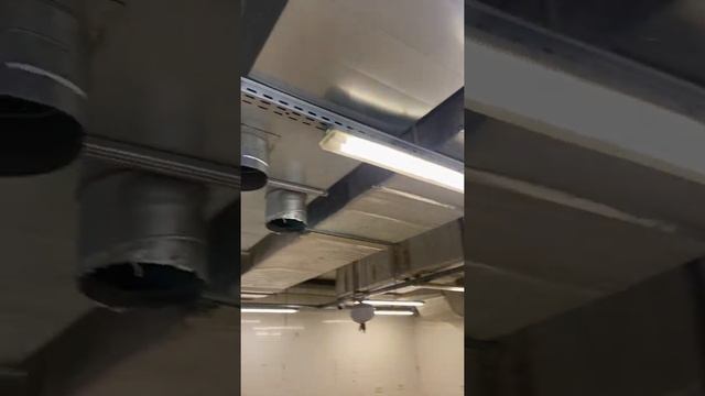 Оренда, фасадного приміщення 600 кв.м. в центрі Києва по бул. Т.Г.Шевченка 1 смотреть онлайн