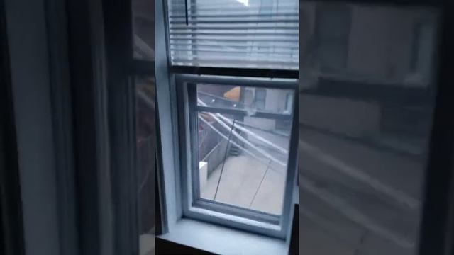 837 W Wolfram 310-$1020 смотреть онлайн