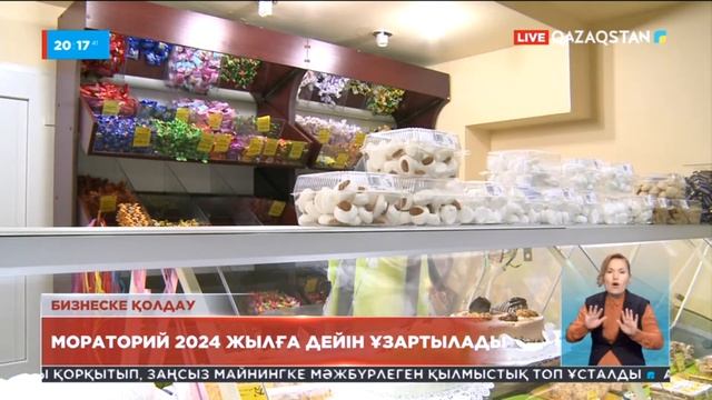 Шағын және орта бизнес субъектілерін тексеруге мораторий 2024 жылға смотреть онлайн
