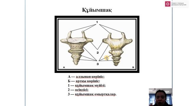 Тірек қимыл ж смотреть онлайн