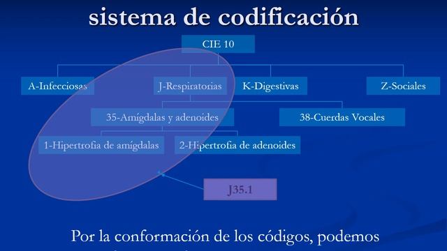 Terminologías y tesauros Médicos 1 смотреть онлайн