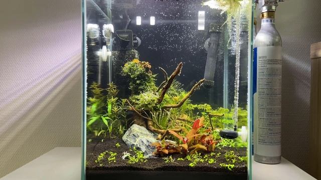 16 - Kostka 2.0 - Trochę źle się dzieje смотреть онлайн