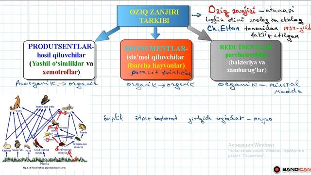 Ekologik Piramida Masalalar Yechish