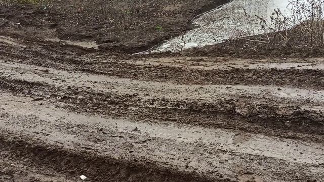 24.04.2021.РАЗЛИВ.ОСТРОВ САРПИНСКИЙ. смотреть онлайн