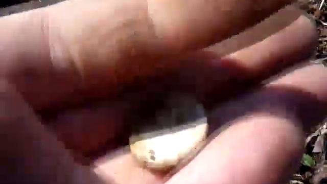 Плохое настроение,иду на коп.05.04.2019. смотреть онлайн