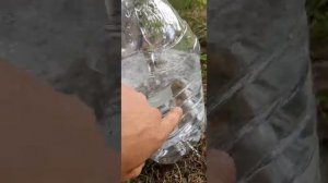 тест пулей для Hatsan 124, какие пули лучше подходят для охоты