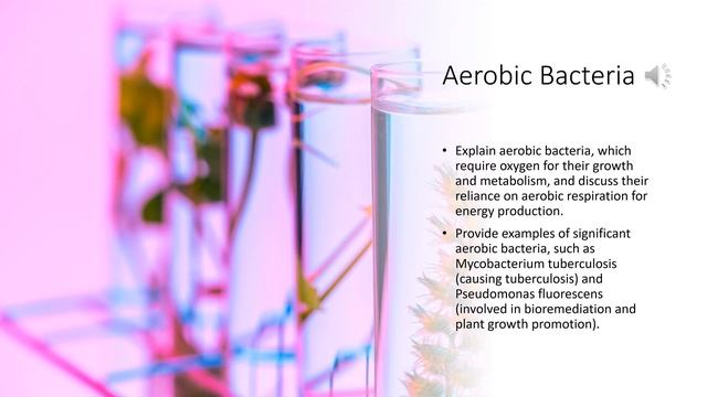 Bacteria Classification смотреть онлайн