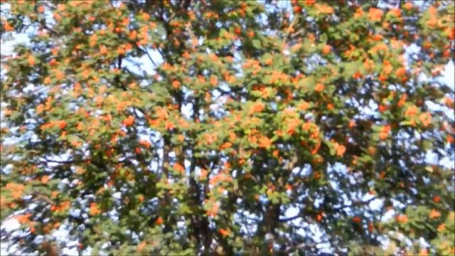 Средневековая инсталяция смотреть онлайн