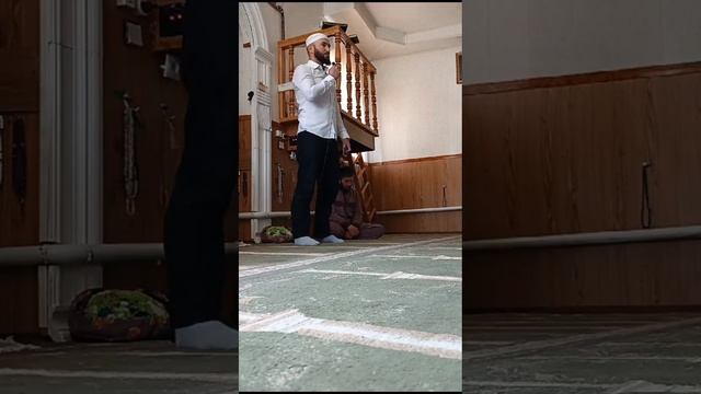 мажлис в селении Зило 26 05 2024 #мажлис #мажлисалимов смотреть онлайн